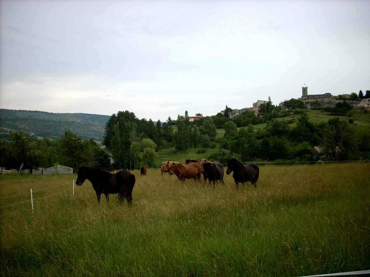 Gite Provence Luberon -Paca- Acces Pmr-Ancv Revest-des-Brousses Kültér fotó
